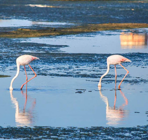 Fudam  Wildlife Sanctuary